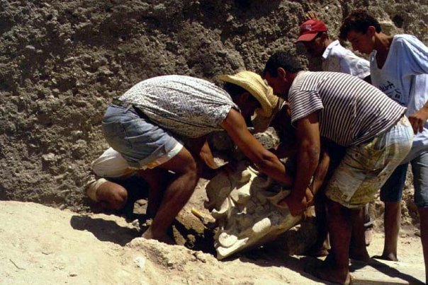 Excavation at Carthage